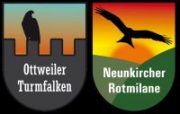 Ottweiler Turmfalken + Neunkircher Rotmilane