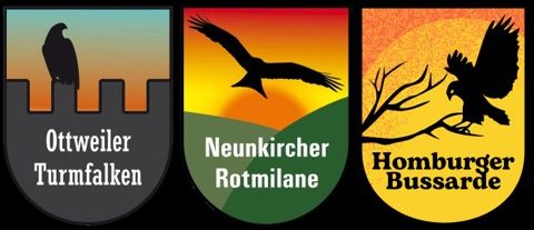 Ottweiler Turmfalken + Neunkircher Rotmilane + Homburger Bussarde